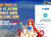 New Member Langsung Win! Sihir Sang Princess Berikan Kejutan