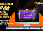 Ubur-Ubur Ikan Lele, Buy Spin 3 Juta Maxwin 450 Juta Le