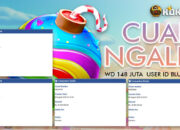 Cuan Ngalir! MemberTuntaskan WD Manis di Sweet Bonanza 1000